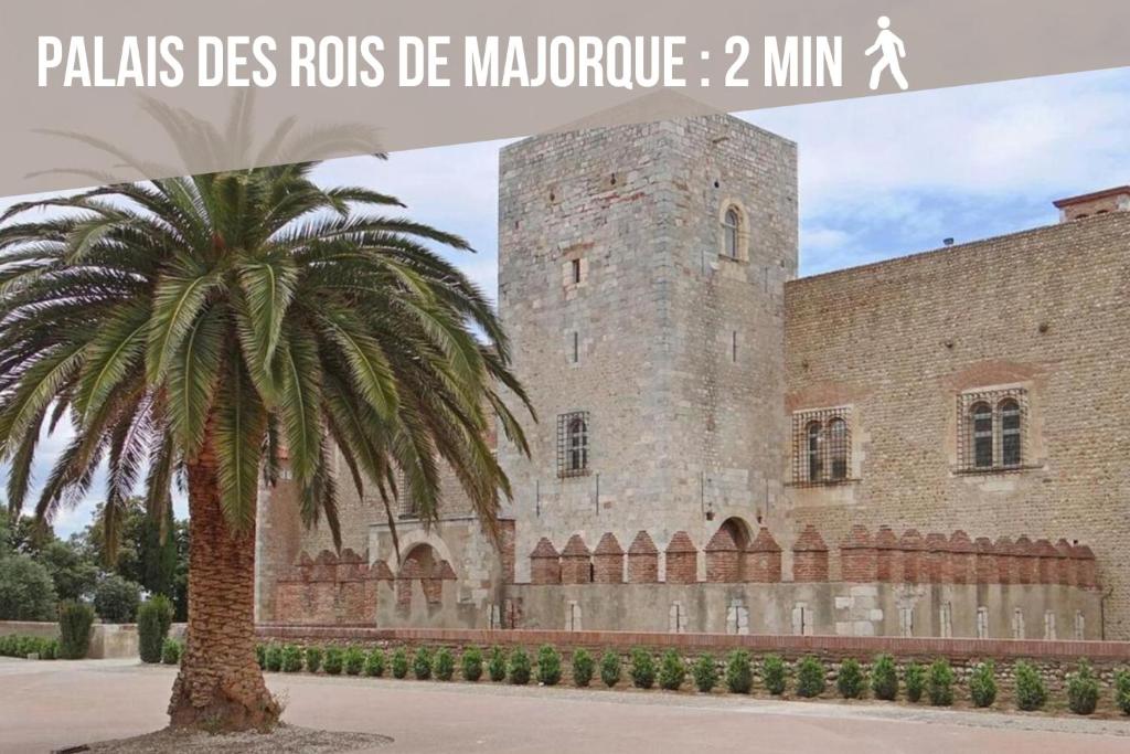 un palmier devant un bâtiment dans l'établissement Séjour Perpignan à 20 minutes de l'Espagne avec petit-déjeuner à la demande à Les Lumineuses du Palais des Rois de Majorque, à Perpignan