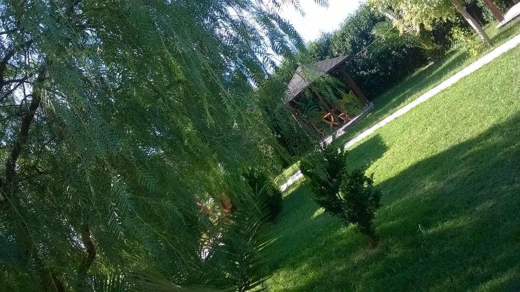 een uitzicht over een park met bomen en gras bij Aragosta Shengjin in Sakës