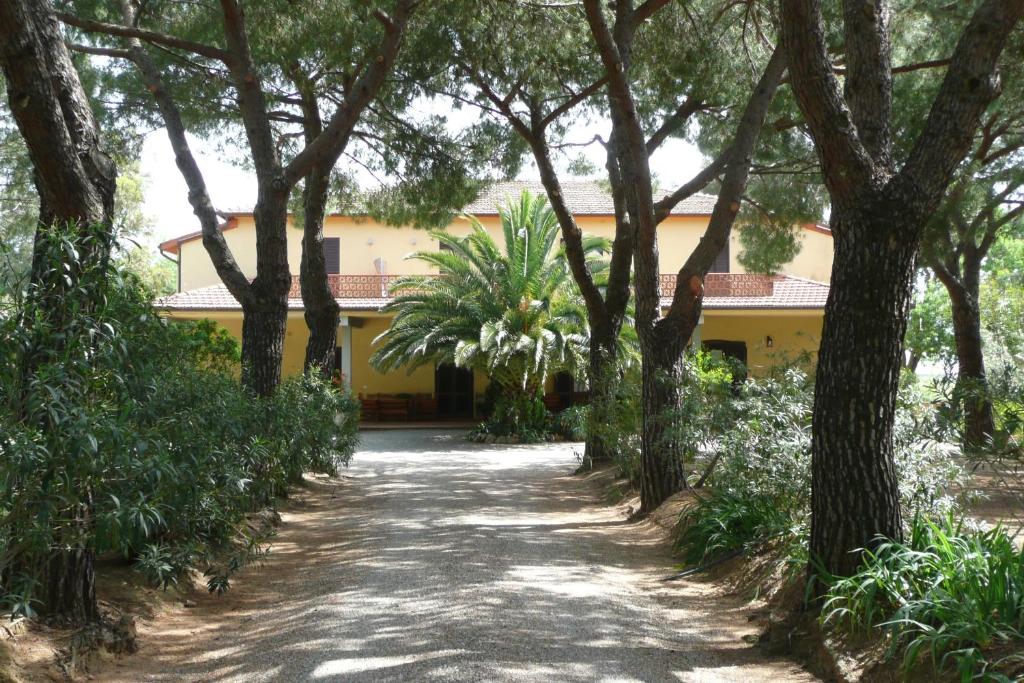 a driveway leading to a yellow house with trees at PODERE OSLAVIA AZ.AGR.BIO GIANNINI in Alberese