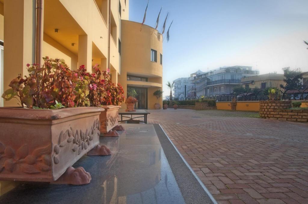 a row of potted plants sitting next to a building at City Hotel in Casoria