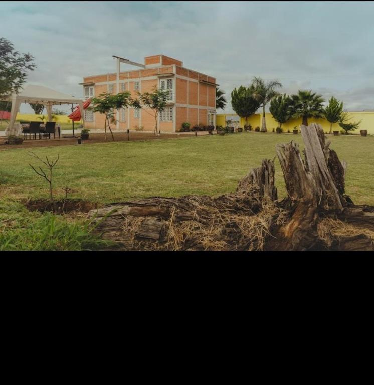 a building in a field with a tree stump at Hotel Senda del Ángel in Zorita