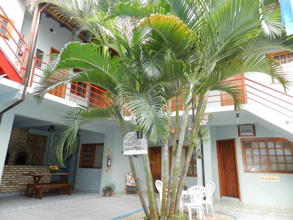 una palmera frente a un edificio en Pousada Baleia Franca Canasvieiras en Florianópolis