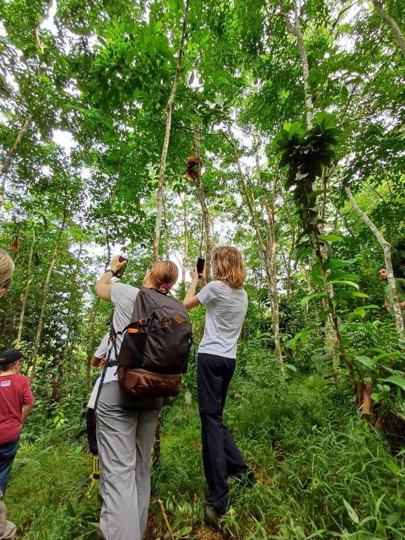 Hosté ubytování Asim Paris Guesthouse & jungle trekking