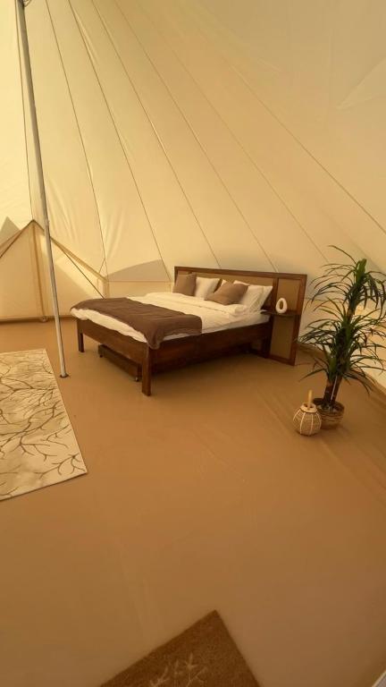 Postel nebo postele na pokoji v ubytování Adventurer Camp