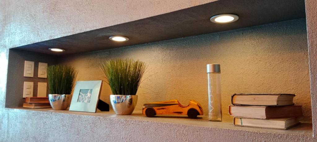 a shelf with plants and a toy car on it at Voss Condominium in Manila