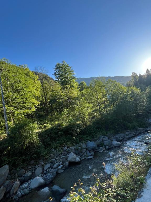 un río con rocas y árboles al lado de una colina en YAZICI PREMIUM, en Ayder