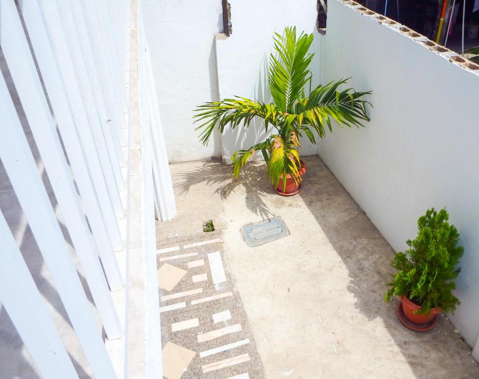 Fotografie z fotogalerie ubytování Ohana House v destinaci San Andrés