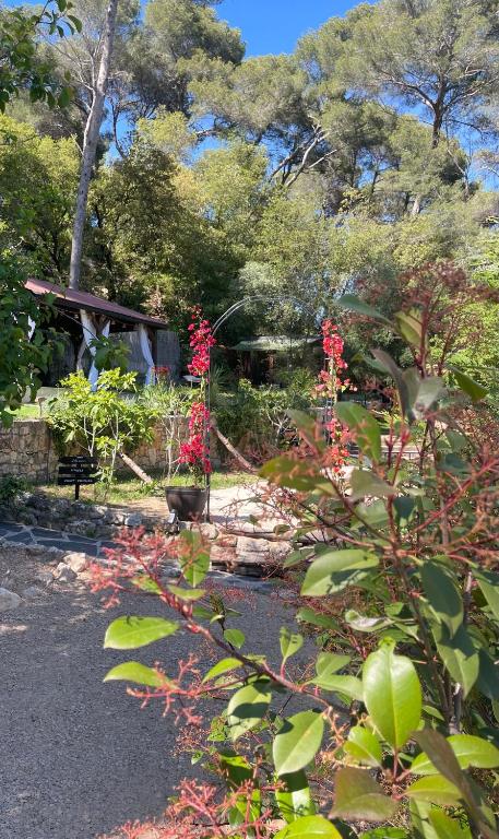 Zahrada ubytování Magnifique Chalet avec jacuzzi 2P Mougins
