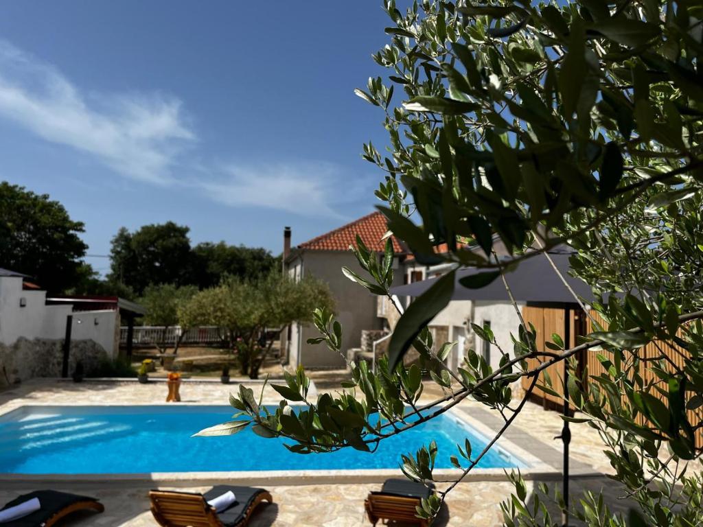 basen z 2 leżakami obok domu w obiekcie Holiday Home Maslina w mieście Stankovci