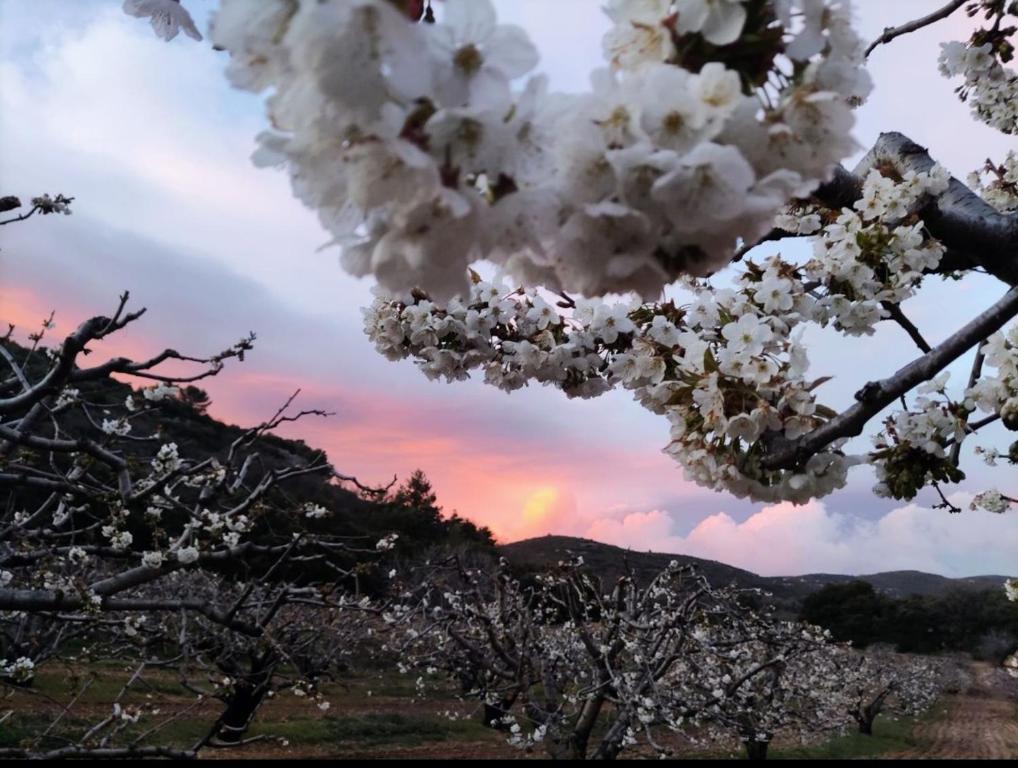 Φωτογραφία από το άλμπουμ του chambre d'hôtes Et Puis Voilà! σε Murs