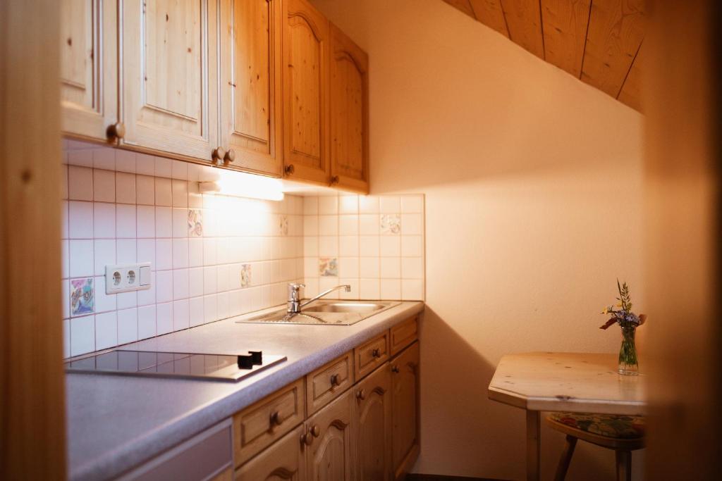 Köök või kööginurk majutusasutuses Primushäusl Gästehaus