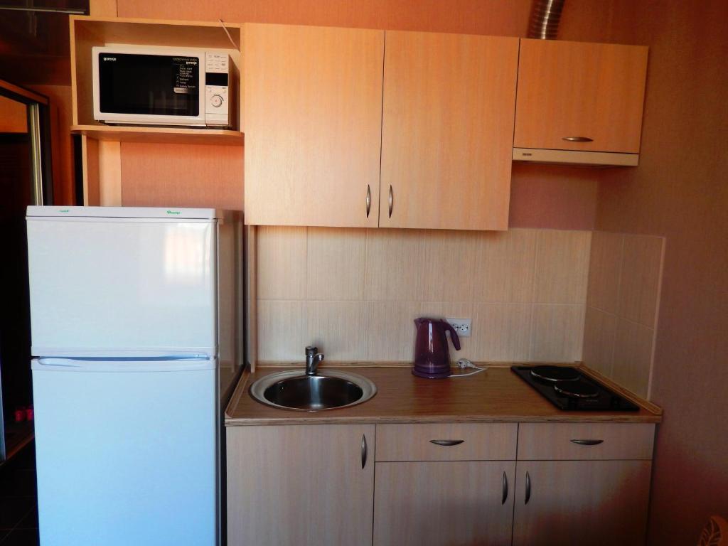 una cucina con lavandino e frigorifero bianco di Studio Darvina 20 a Charkiv