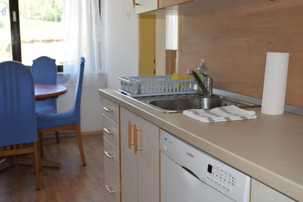 Kuchyň nebo kuchyňský kout v ubytování Apartma podeželje