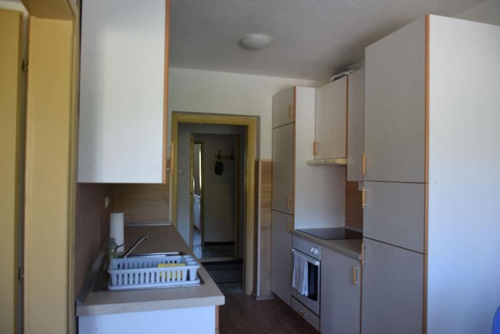 Kuchyň nebo kuchyňský kout v ubytování Apartma podeželje