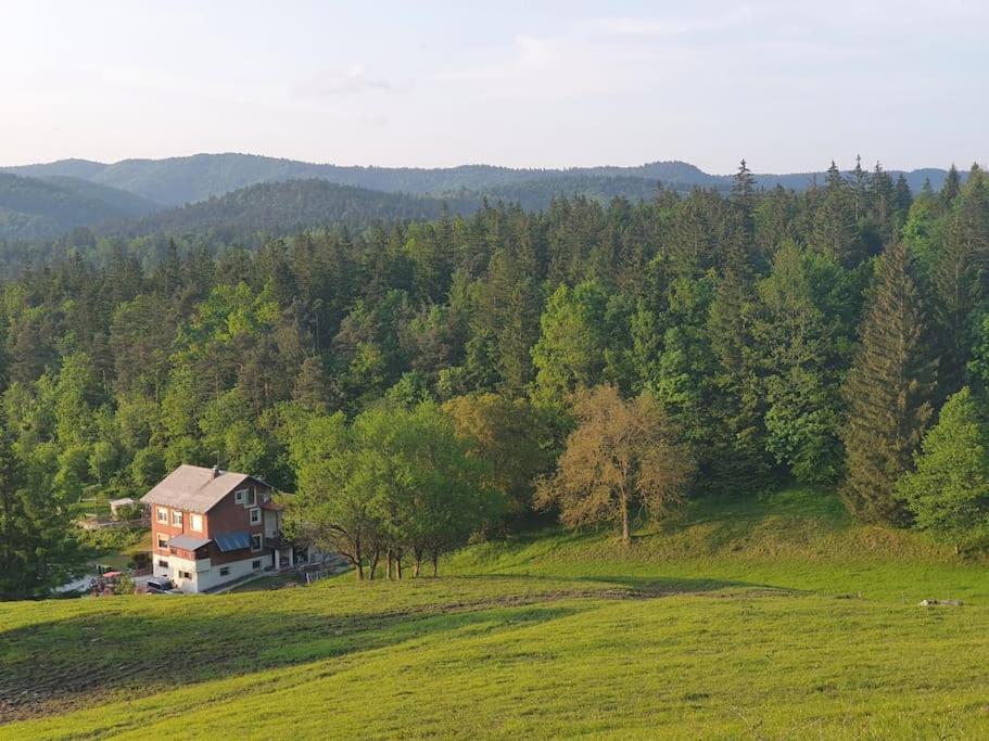 Příroda nedaleko apartmánu