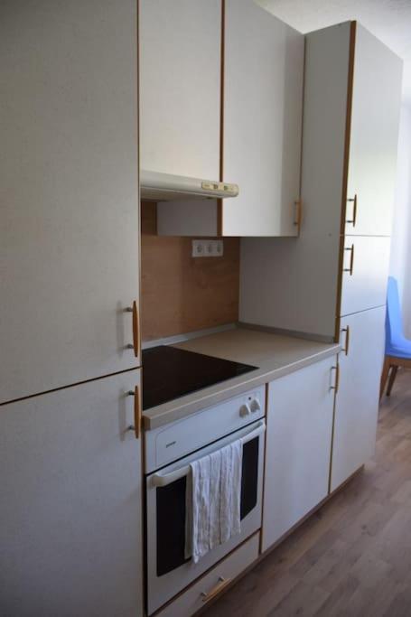 Kuchyň nebo kuchyňský kout v ubytování Apartma podeželje