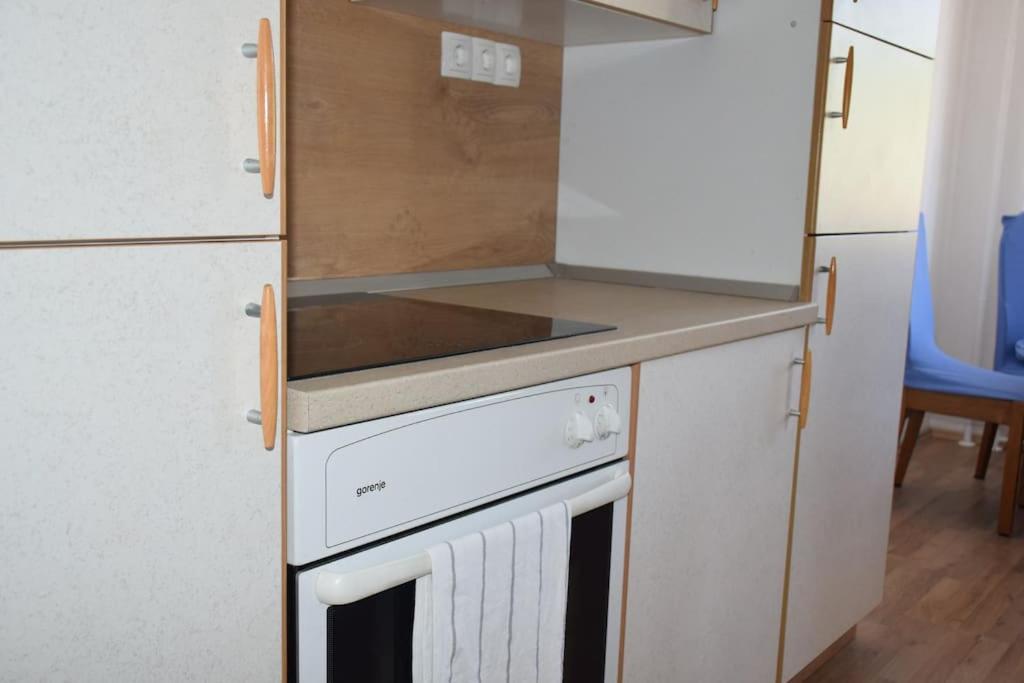 Kuchyň nebo kuchyňský kout v ubytování Apartma podeželje