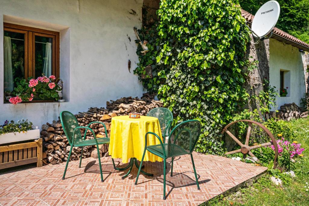 Zahrada ubytování Loft Tovel