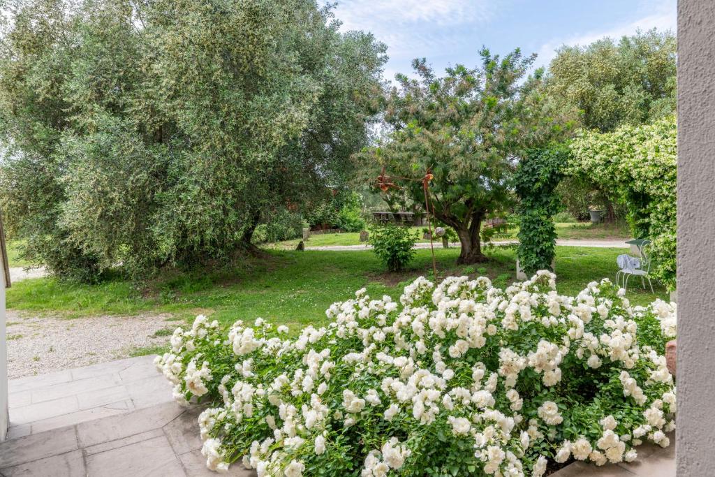 A garden outside Cantagrillo Boutique Resort