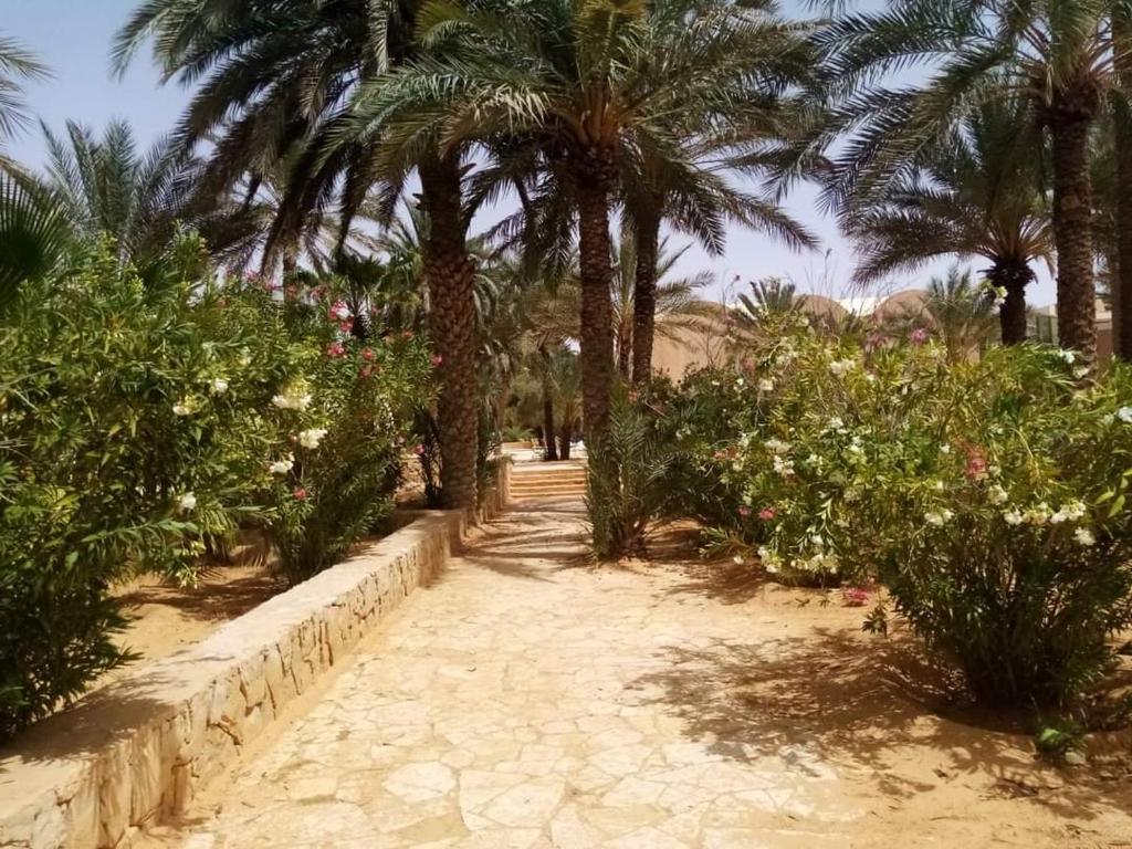 Fotografie z fotogalerie ubytování Hotel Pansy v destinaci Qaşr Ghīlān