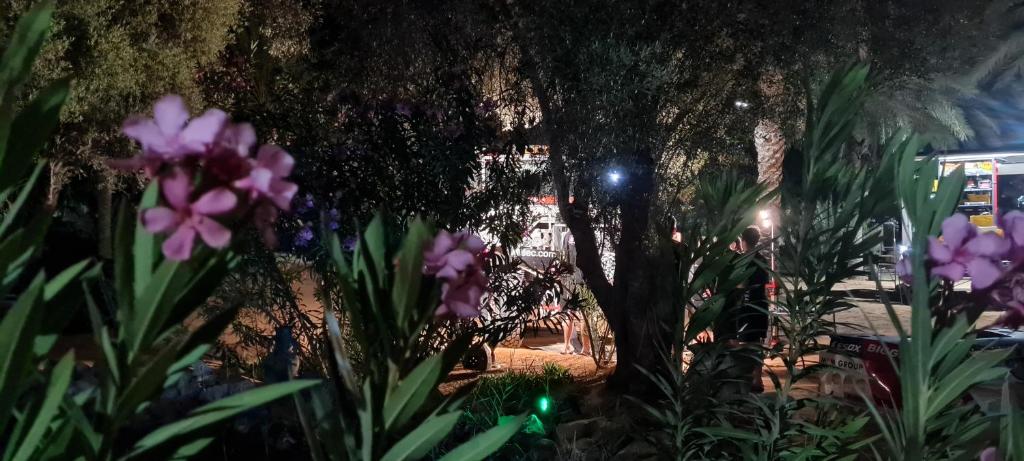 Fotografie z fotogalerie ubytování Hotel Pansy v destinaci Qaşr Ghīlān