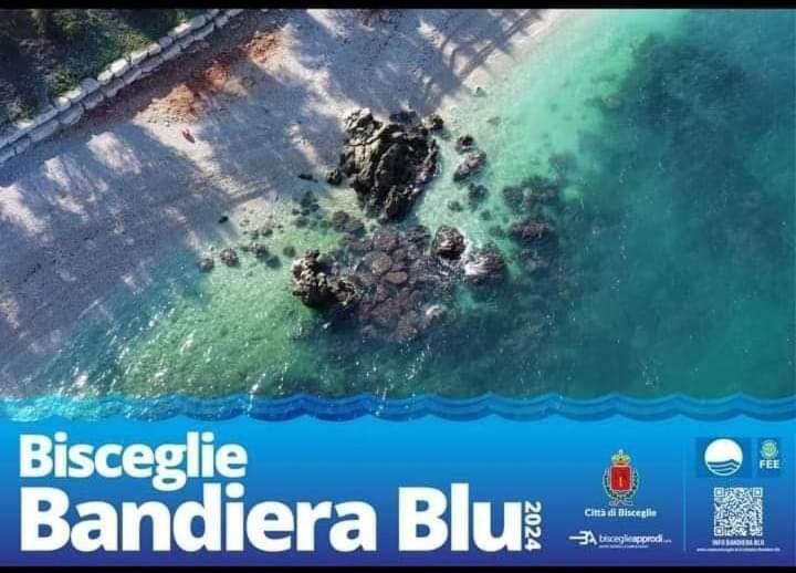 una vista aérea de un montón de rocas en el agua en B&B La Casa di Beppe e Madia, en Bisceglie