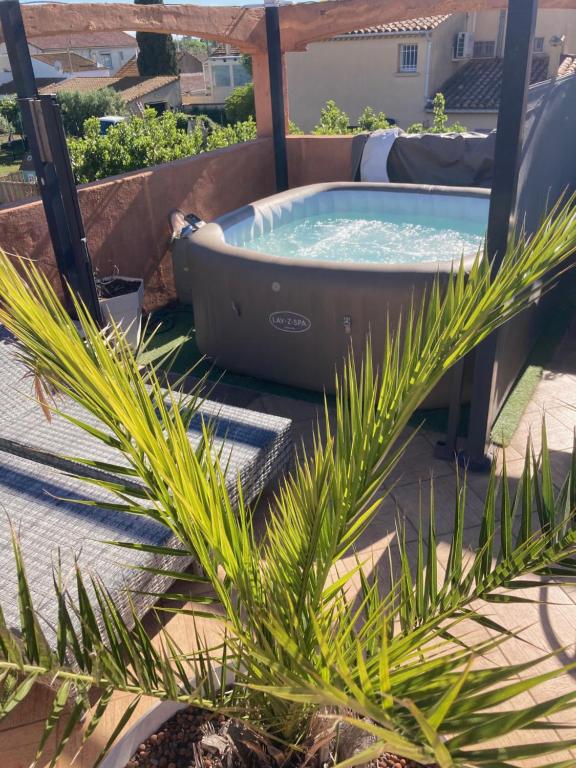 a hot tub on a patio with a palm plant at Hôtel Le Gambetta in Vias