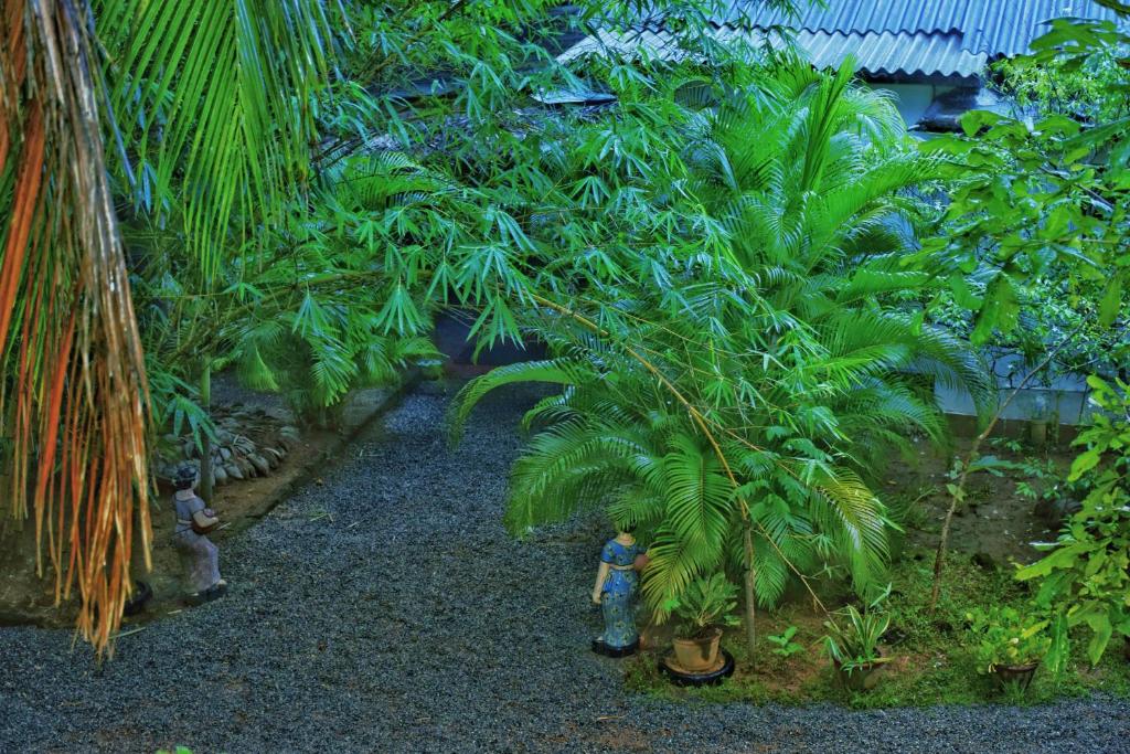 Passion Ray Villa & Tree Hut - 2