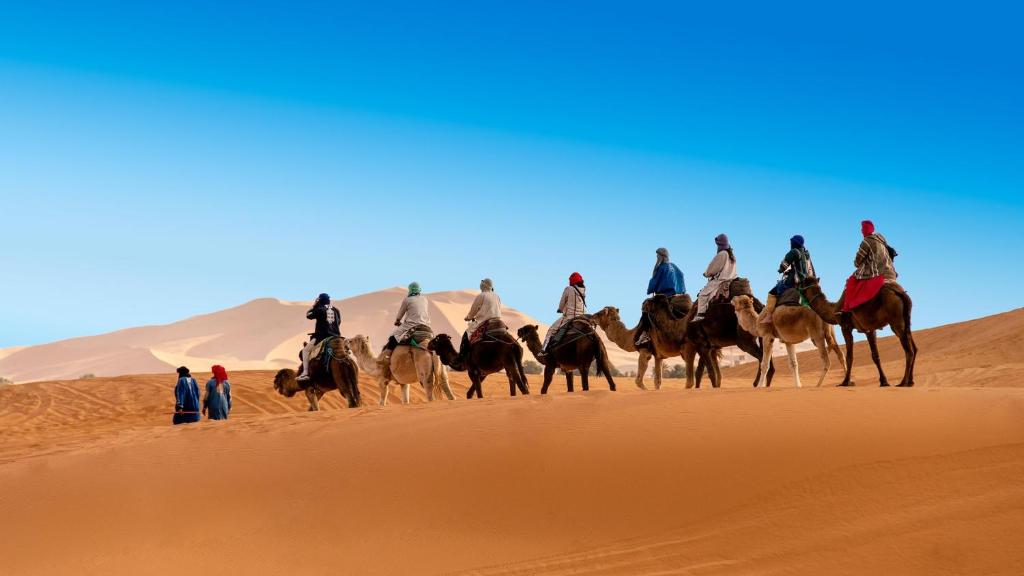 Hosté ubytování Berber Safari Camping