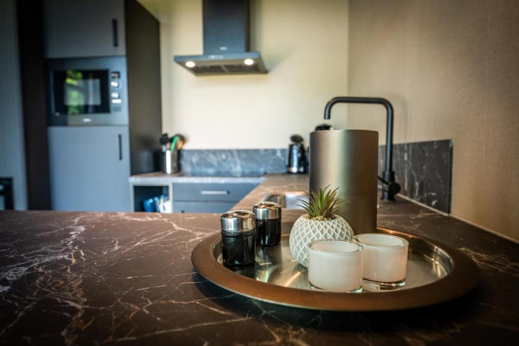 Kuchyň nebo kuchyňský kout v ubytování Wellnesslodge Merel