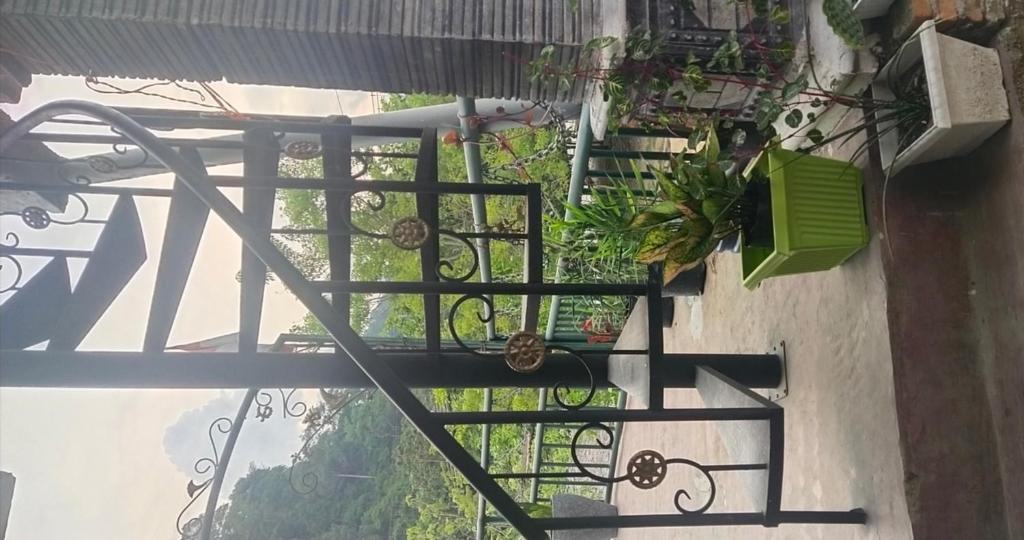 a balcony with plants on the side of a building at Ma2 Jo2 Guest House Explore Jungle Track AND Transportation in Bukit Lawang