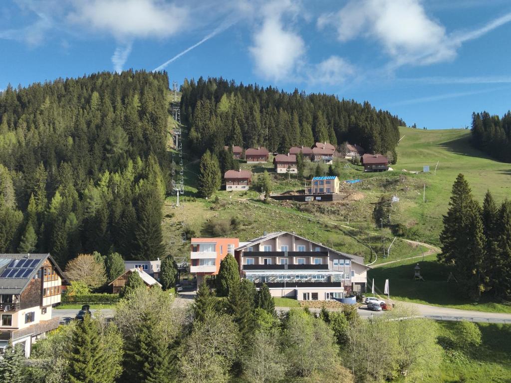 ein Dorf auf einem Hügel mit Häusern und Bäumen in der Unterkunft Hotel Alpengasthof Hochegger in Klippitztorl