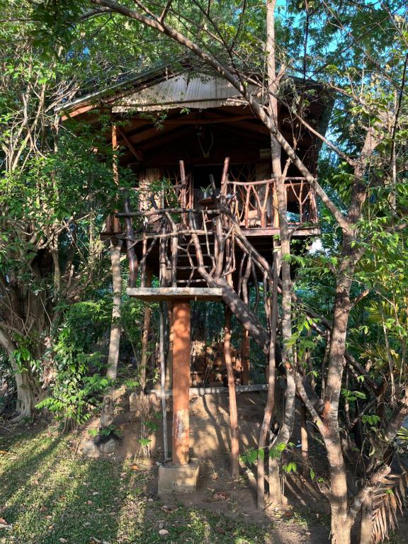 Zahrada ubytování Sigiriya Rock Gate Tree House