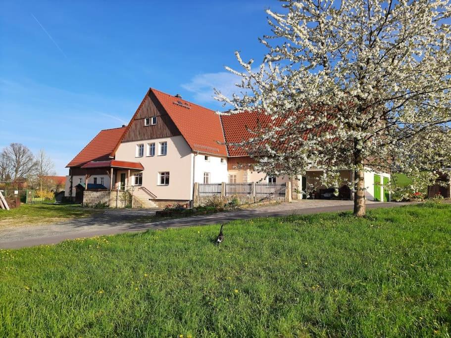 a large white house with a red roof at Ferienwohnung SandSteinLand in Reinhardtsdorf