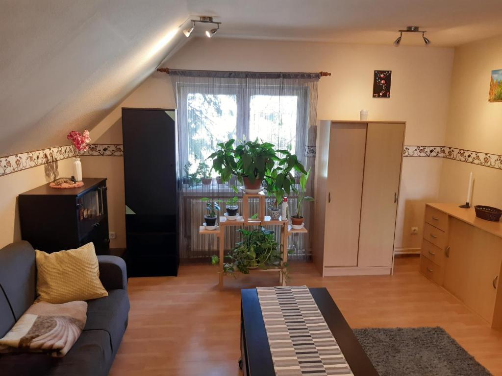 Tímea apartman 1223 Budapest, Esze Tamás utca 10. kép - 1