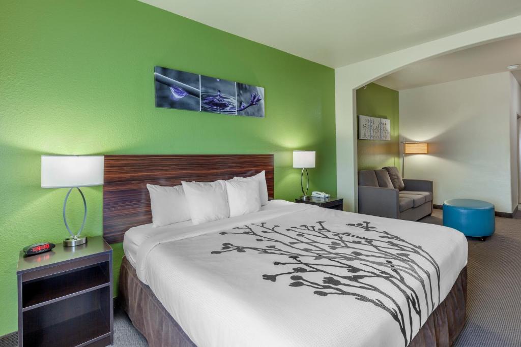 Sleep Inn & Suites Hewitt - South Waco - King Suite - Toegankelijk/niet Roken