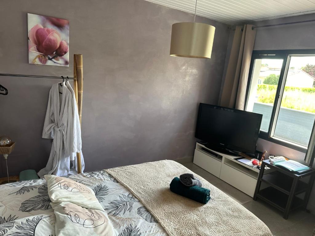 Postel nebo postele na pokoji v ubytování Studio cosy « Le Cocon » avec piscine et spa