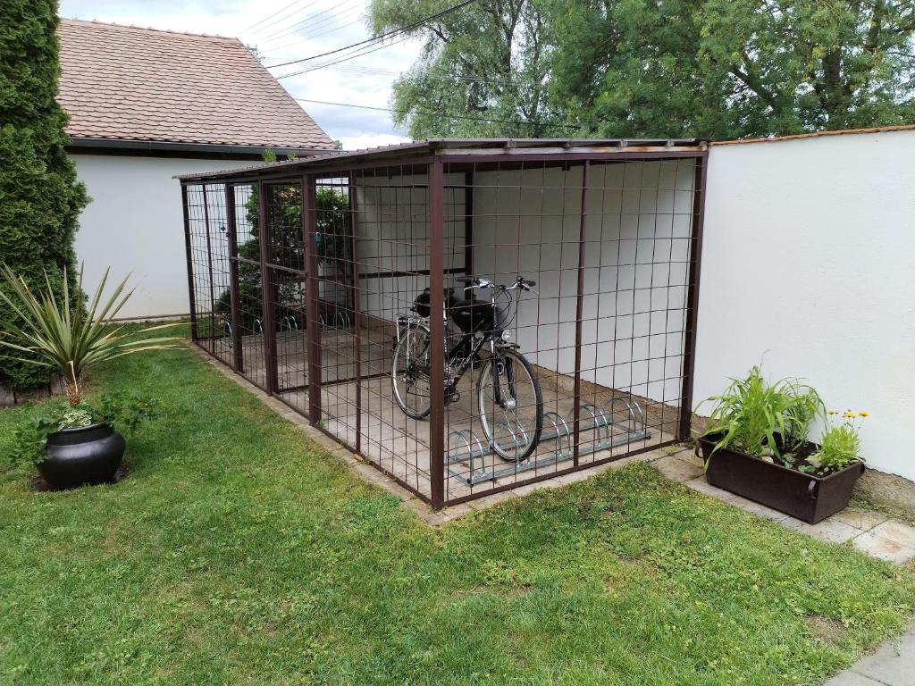 Jízda na kole v ubytování Apartmány 62 nebo okolí