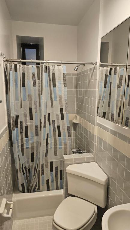 La salle de bains est pourvue de toilettes et d'un rideau de douche. dans l'établissement Lamartine Chelsea, à New York