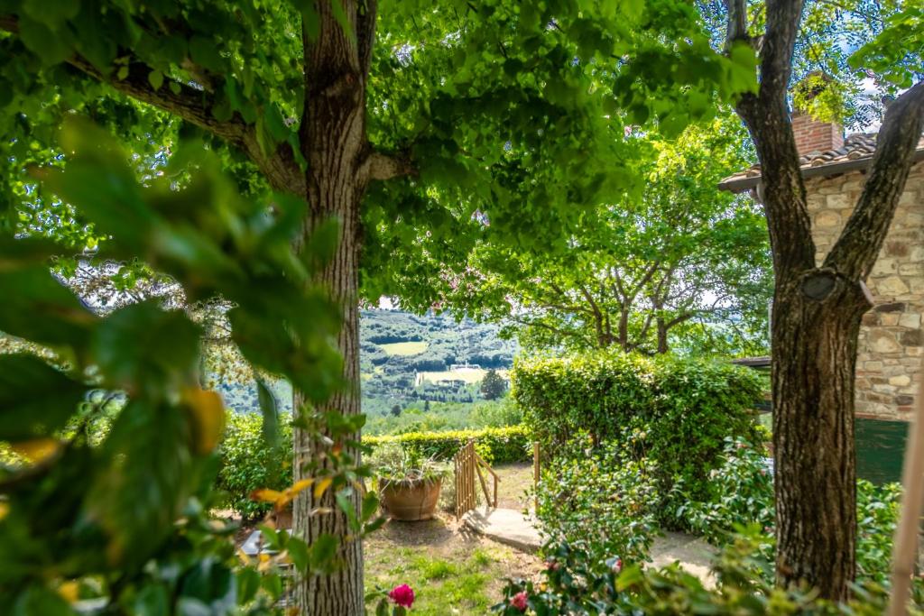Zahrada ubytování Fienile I Cipressi - Retreat with stunning views
