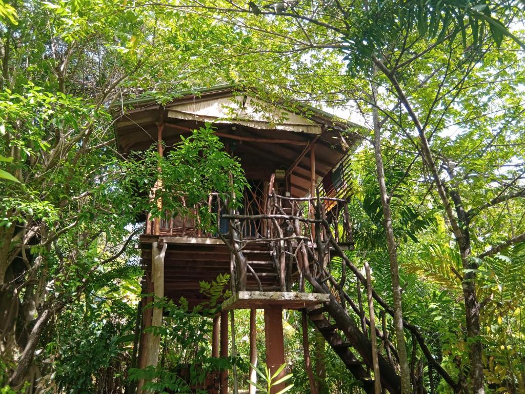 Zahrada ubytování Sigiriya Rock Gate Resort