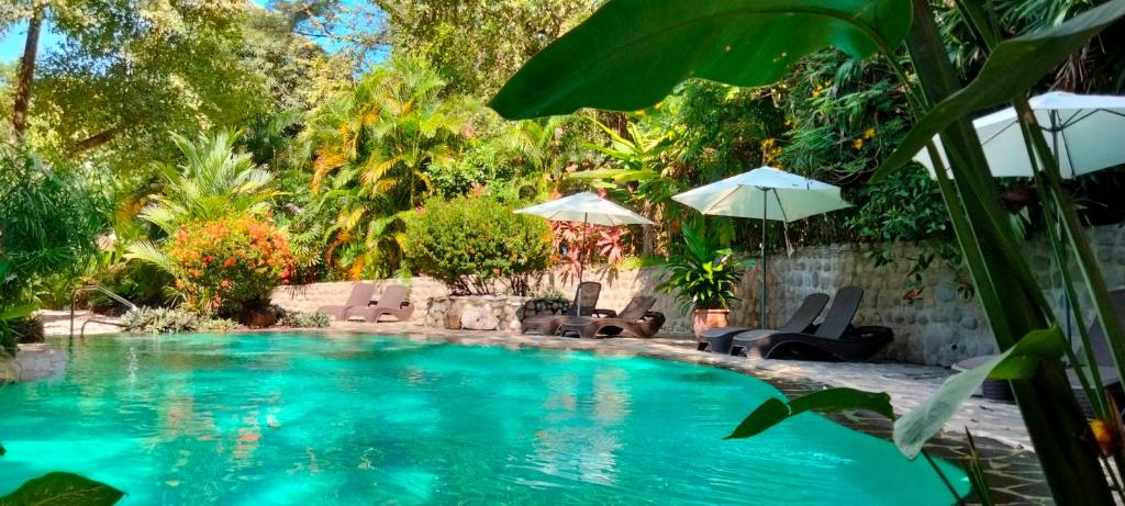 una piscina con sillas y sombrillas en un patio en Manala Hotel en Santa Teresa