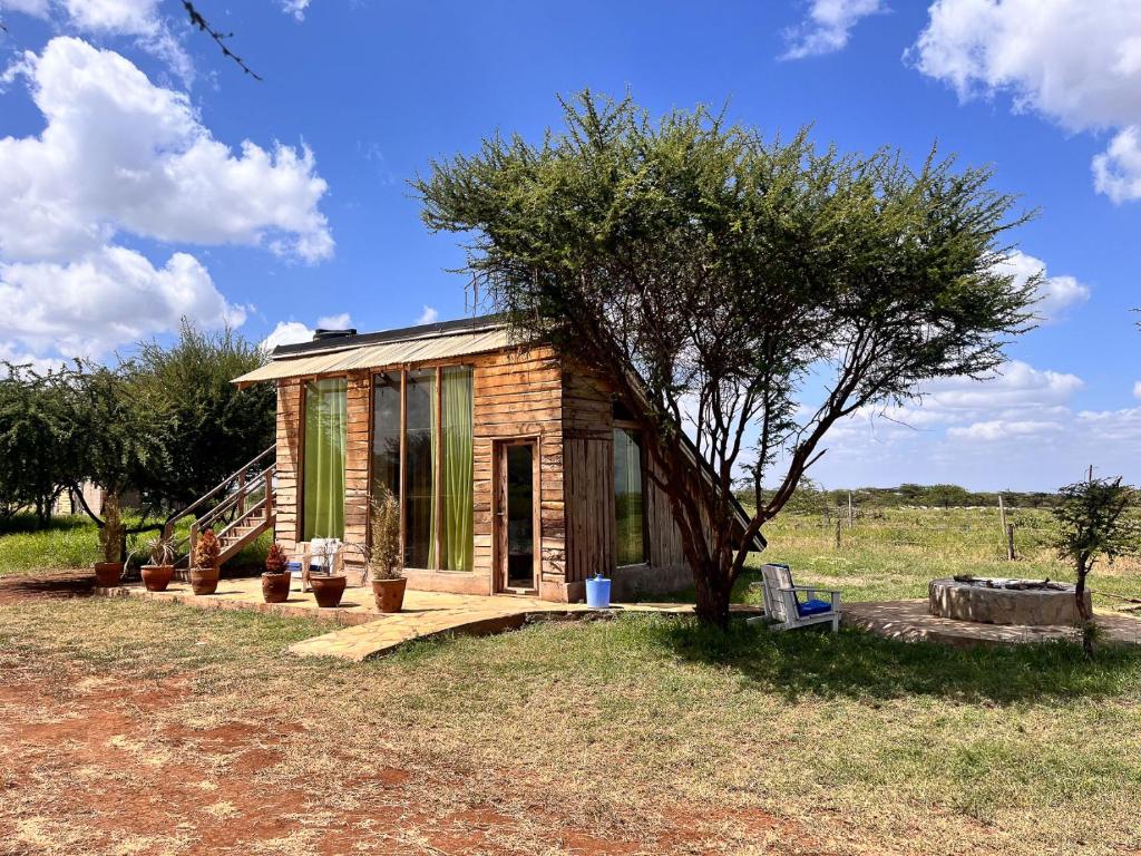 a small wooden house with a tree in a field at Kilimanjaro view cabin-Amboseli in Oloitokitok 