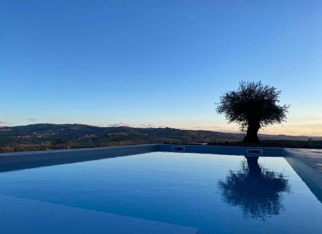 uma piscina com uma árvore ao fundo em Casa Bianchetti em Costigliole dʼAsti