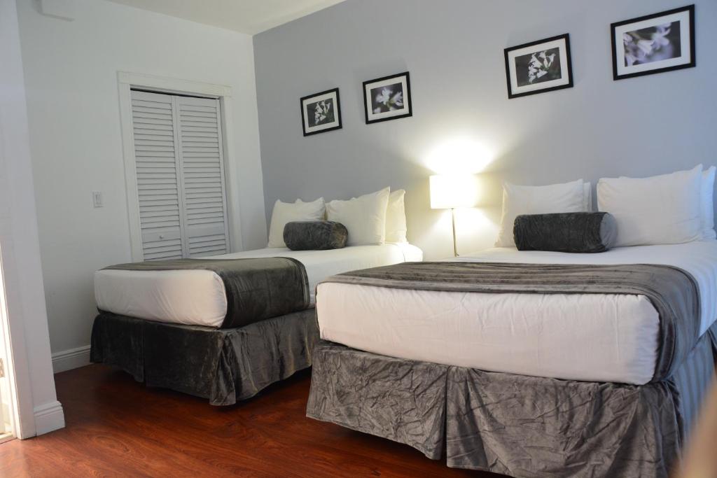New Point Miami Beach Apartments - Loft