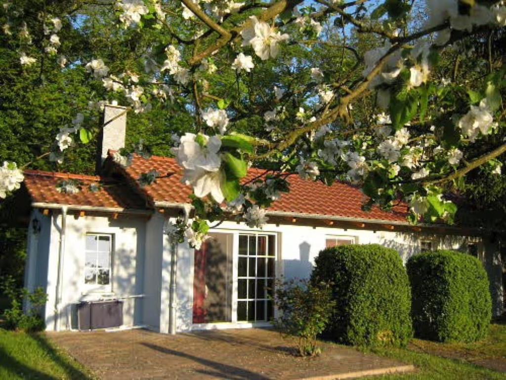 Κήπος έξω από το Bungalow am Haussee