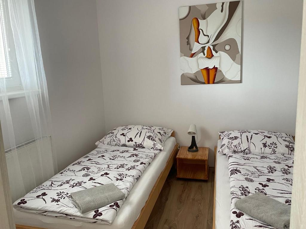 Postel nebo postele na pokoji v ubytování Apartmány Bella Moravia