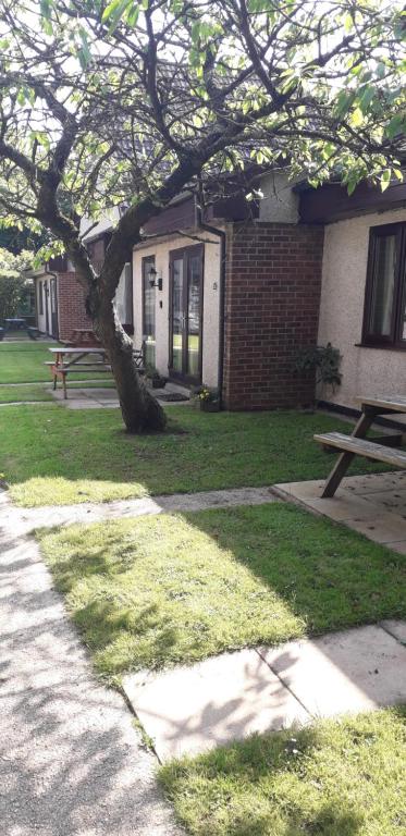 uma mesa de piquenique e uma árvore em frente a um edifício em 11 Trevithick Court Tolroy Manor em Hayle