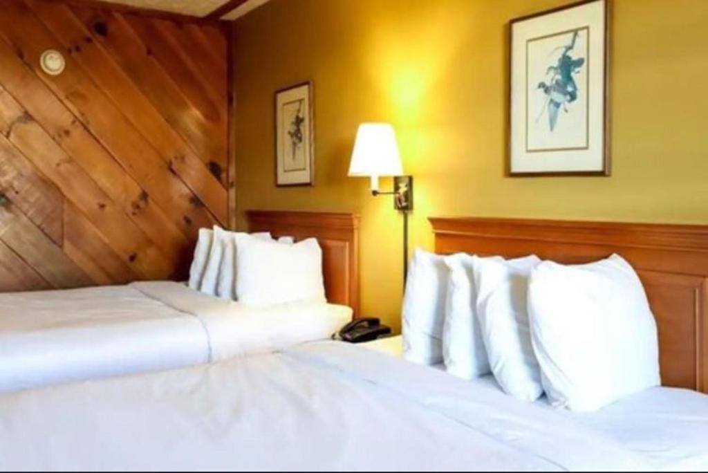 Timbers Lodge - 