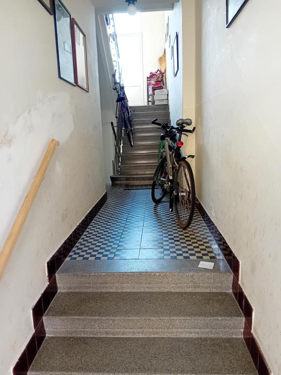 Jízda na kole v ubytování Holub apartment in city centrum nebo okolí